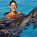 Nuevo Vallarta Signature Dolphin Swim