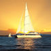 Cairns Sailing Dinner Cruise