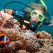 Outer Great Barrier Reef Dive and Snorkel Sailing Cruise from Cairns