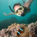 Outer Great Barrier Reef Dive and Snorkel Sailing Cruise from Palm Cove