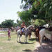 Horseback Riding from Cozumel