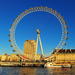London Eye: River Cruise Experience