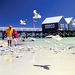 4-Day Albany, Tree Top Walk and Margaret River Tour from Perth