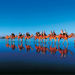 Broome Half-Day Tour with Optional Cable Beach Sunset Camel Ride