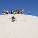 Pinnacles Desert, Koalas and Sandboarding 4WD Day Tour from Perth