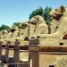 Private Tour: 2-Day Luxor Tour from Hurghada