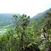 Oahu Mountain Rainforest Small Group Adventure