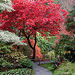 Private Tour: Victoria and Butchart Gardens from Vancouver