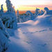 Snowmobile Safari: Lapland's Arctic Nature