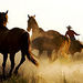 Private Tour: Hacienda Los Lingues Horse Ranch