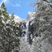2-Day Yosemite National Park Winter Tour from San Francisco