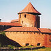 Private Kaunas and Pazaislis Monastery Tour