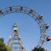 Vienna Wine Tavern Night Tour with Giant Ferris Wheel