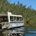 Noosa River and Everglades Afternoon Tea Cruise