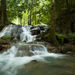 Krabi Hot Stream and Rainforest 4WD Tour 