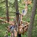Treetop Canopy Walk in Whistler