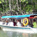 Langkawi Mangrove Forest and Eagle Watching Tour