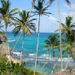Beautiful Barbados Coastal Sightseeing Tour