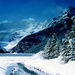 Lake Louise and Icefields Tour