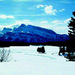 Winter Tour: Banff and its Wildlife