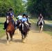 Horse Riding in Hyde Park