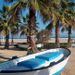 Private Full Day VIP Tour of Valencia and its Beaches