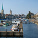 Best of Zurich City Tour with Optional Zoo Visit