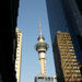 Auckland Must Do Three Attractions Afternoon Tour