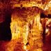 Waitomo Glowworm Caves Discovery Tour from Auckland