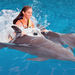 Cancun Dolphin Royal Swim