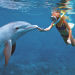 Cancun Dolphin Swim Adventure