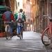 Vienna Super Saver: City Sightseeing Bike Tour plus Cultural Bike Tour