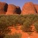 Uluru (Ayers Rock) and The Olgas Tour Including Sunset Dinner from Alice Springs