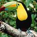 Belize City Tour and Belize Zoo