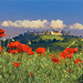 Tuscany in One Day Sightseeing Tour