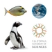 Skip the Line: California Academy of Sciences General Admission Ticket