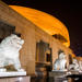 Private Tour: Shanghai Museum Half-Day Guided Tour