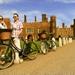 Hampton Court Palace Bike Tour from London