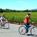 Wine Country Bike Tour and Picnic Lunch with Transport from San Francisco