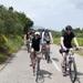 Split Bike Tour: City Highlights by Standard or Electric Bike
