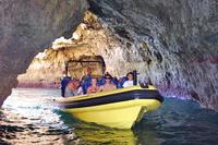 Caves and Dolphin Watching Cruise from Albufeira