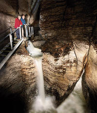 Te Anau Glow Worm Caves Tour from Te Anau or Queenstown