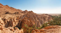 Indian Canyons by Jeep plus Hiking Tour from Palm Springs
