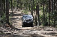 Gold Coast Lamington National Park and Tamborine Mountain 4WD  Eco Tour