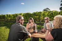 Martinborough Wine-Tasting Tour from Wellington