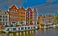 Skip the Line: Van Gogh Museum and Amsterdam Canal Bus Hop-On Hop-Off Day Pass