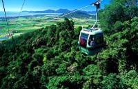 Skyrail Rainforest Cableway Day Trip from Palm Cove