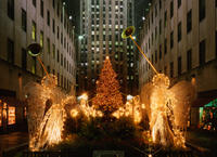 New York City Holiday Lights Tour