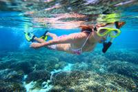 St Maarten Sailing and Snorkeling Tour: Tintamarre Island, Creole Rock and Lunch in Grand Case