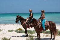 Horseback Riding from Riviera Maya
